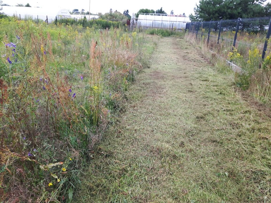 kosiarka bijakowa/glebogryzarka separacyjna,koszenie,równanie działek