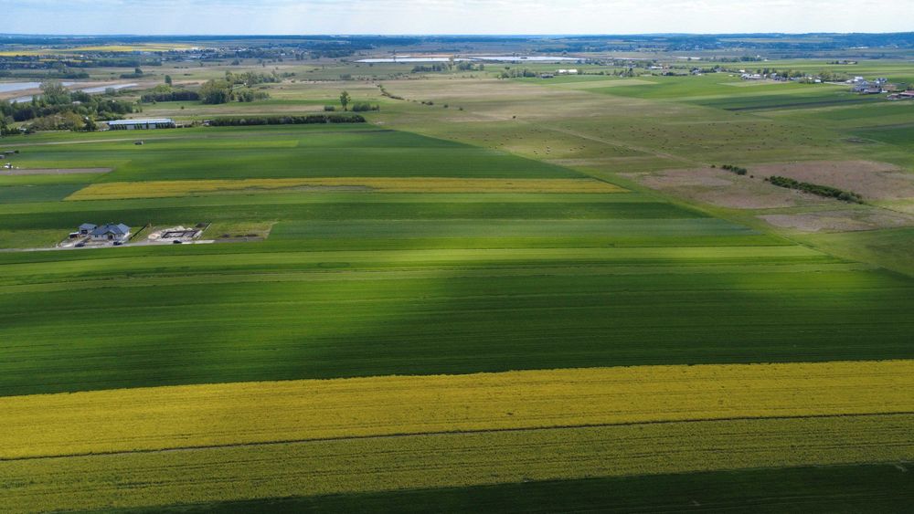 działka budowlana k/ Zamość  10a.  z warunkami zabudowy piękny widok - Widok 5
