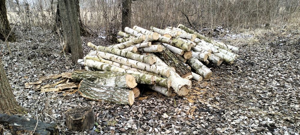 Продам дрова,береза та дуб.