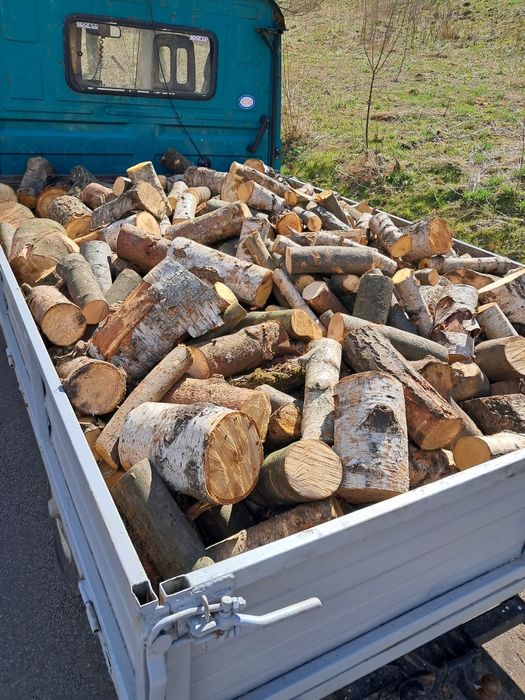 Drewno Buk Jesion Brzoza Świerk Sosna