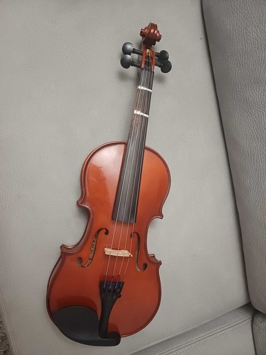 VIOLA D'ARCO como nova