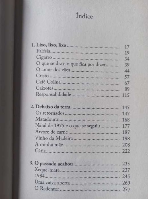 Um Cão no Meio do Caminho - Isabela Figueiredo