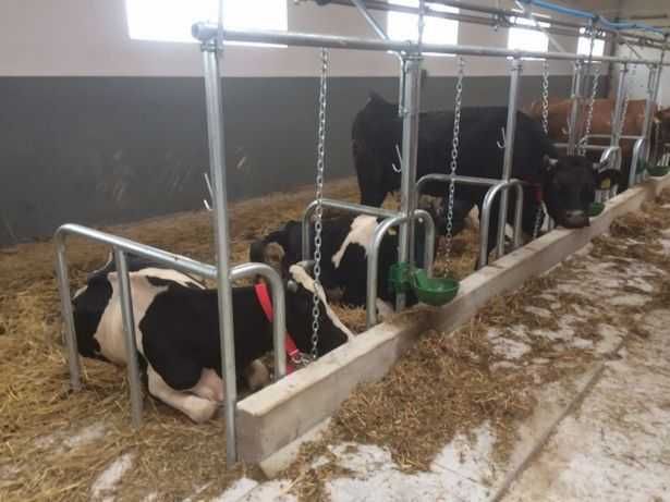 Wygrodzenia stanowiska przegrody dla bydła krów bramki