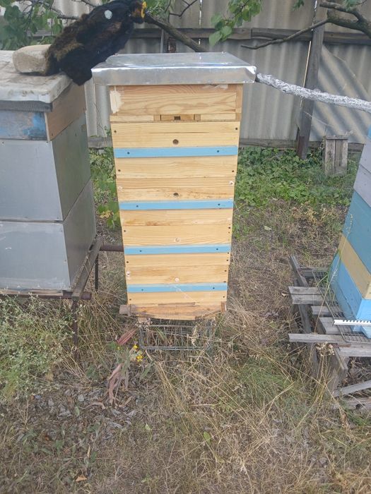 Вулики нові та б/у