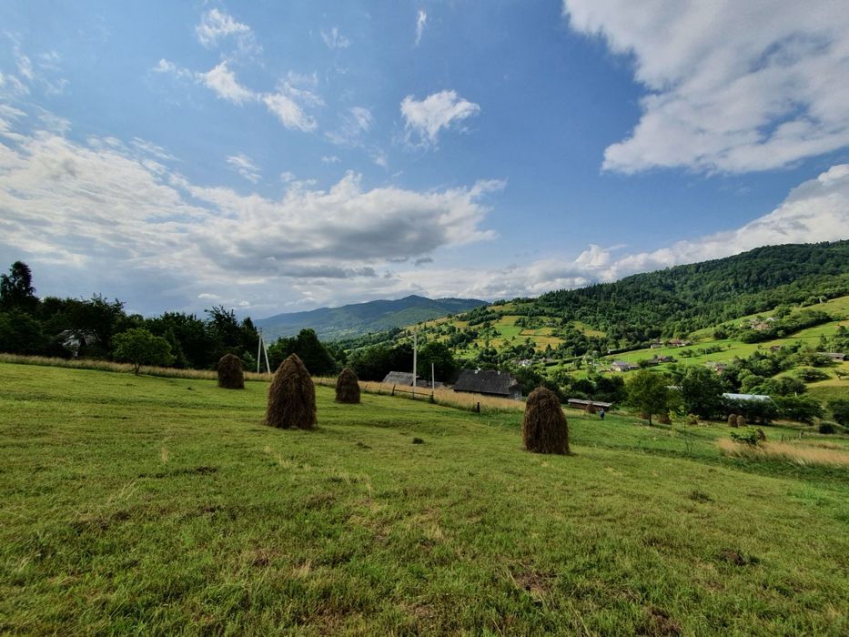 Котеджі в Карпатах