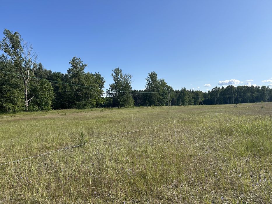 Działki budowlane - Widok 2