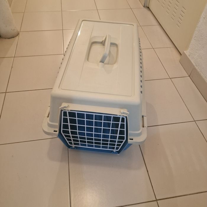 Transportadora como nova ferplast