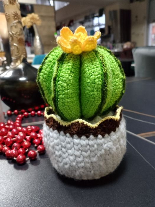 Кактус (в'язаний)