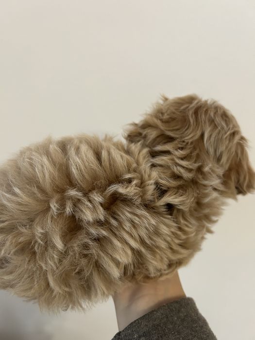 Хлопчик з білими маркерами