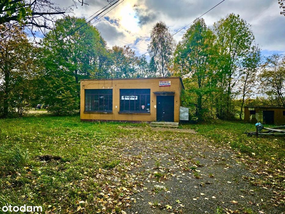 Nieruchomość z dużym potencjałem PYTOWICE