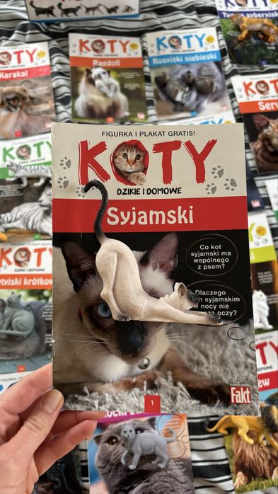Kolekcja Koty z figurkami 25 sztuk