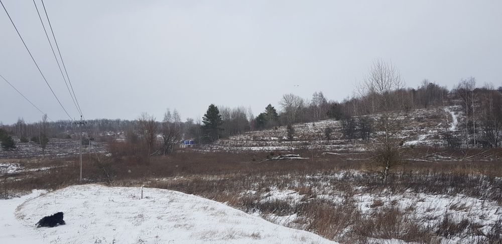 Лісники ділянка 100 сот.Поруч Lion Hills.Без%