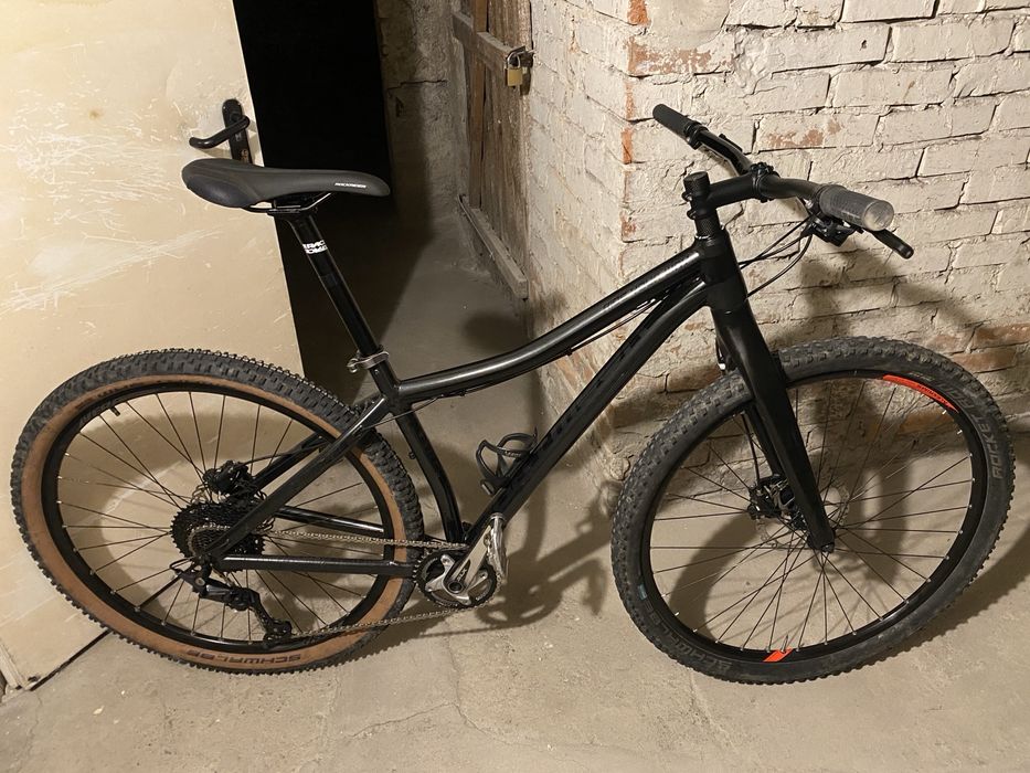 Dartmoor Primal 29