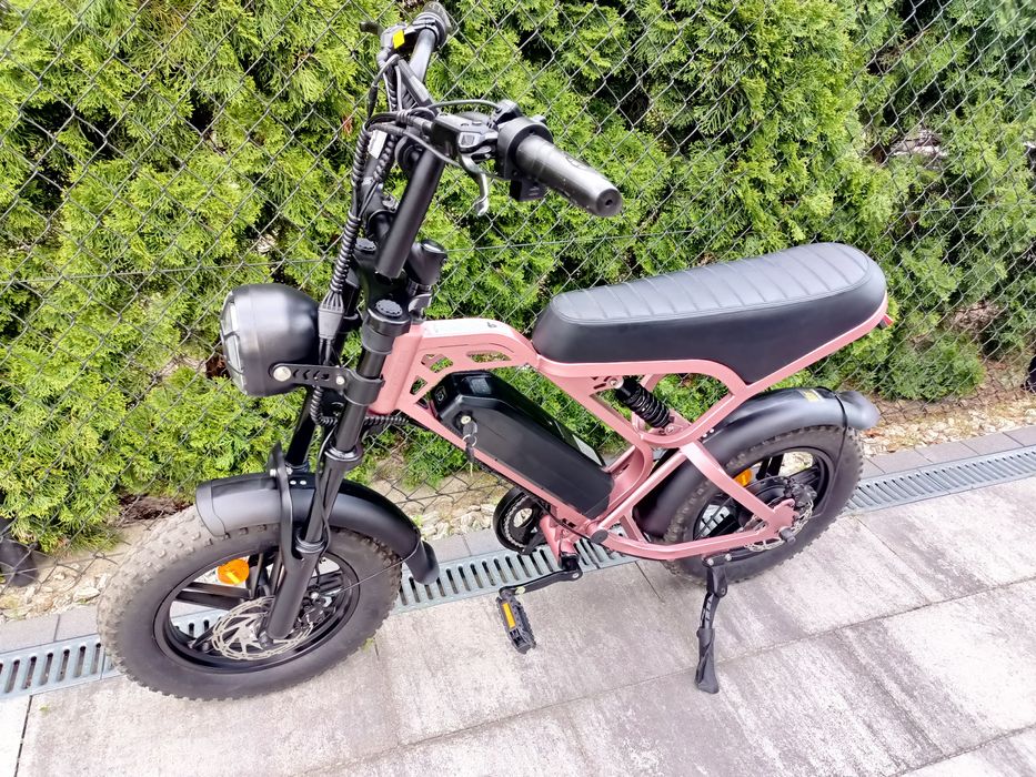 Fatbike v20 mini
