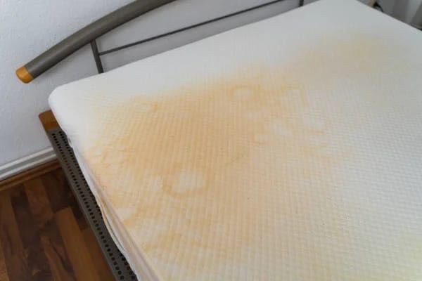 Limpeza de sofás e colchões