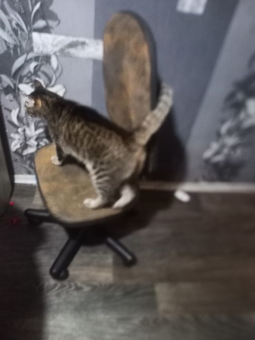 Кресло компьютерное.кремло офисное.крксло для работы