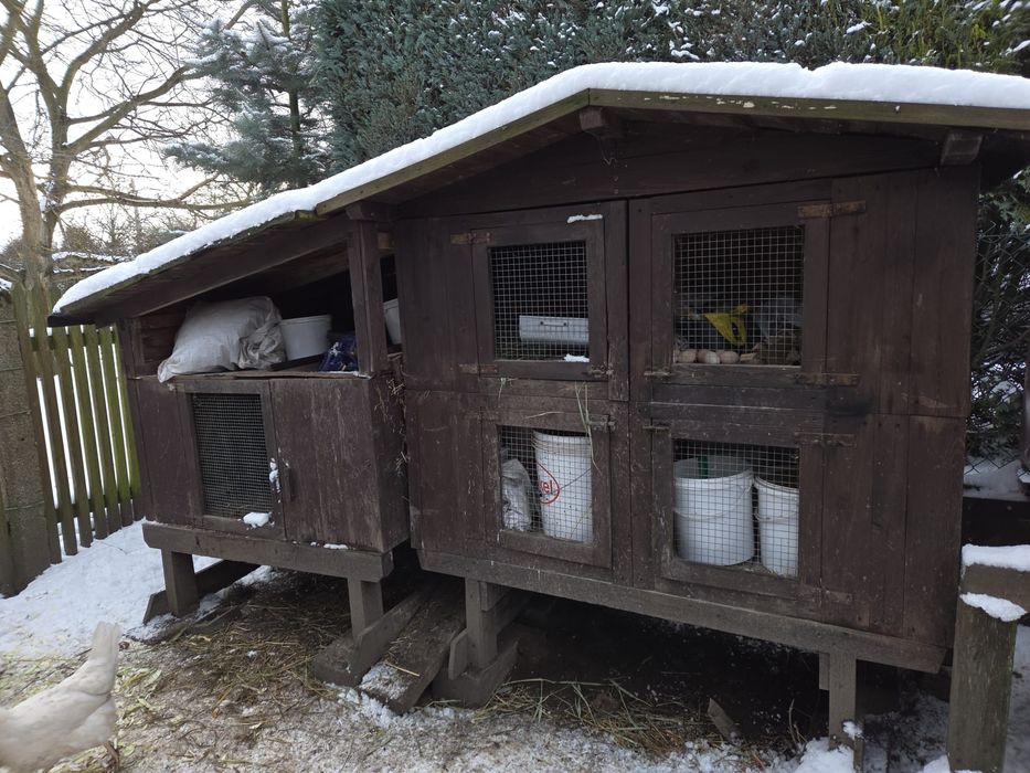 Klatka dla królików