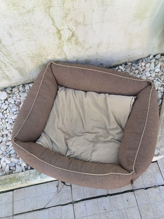 Carrinho e cama de cão