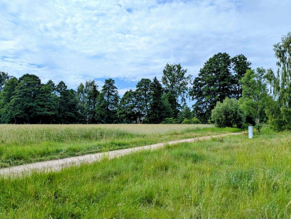 Działka budowlana 3072 m2 – WZ na 2 domy | media na działce | 52 m front | Kołoszyn (gm. Dalików)