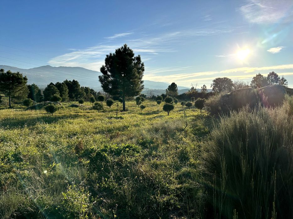 Refúgio de 9 Hectares com Vistas para a Serra da Estrela