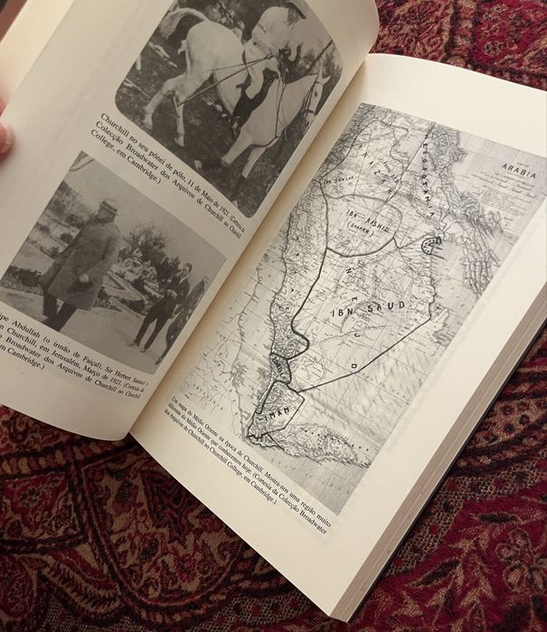 Livro: A Loucura de Churchill