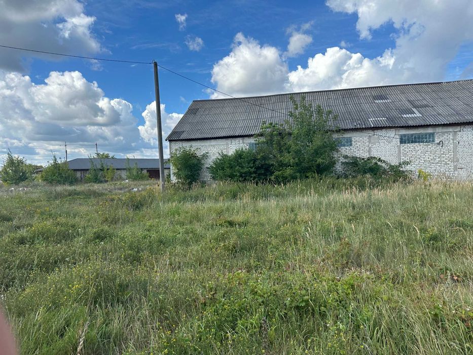 Продам приватизовану земельну ділянку 1,2 га