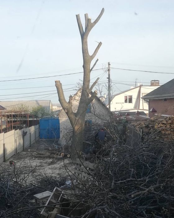 Спил деревьев  за дрова ,уборка участков,корчевание пней, покос травы,