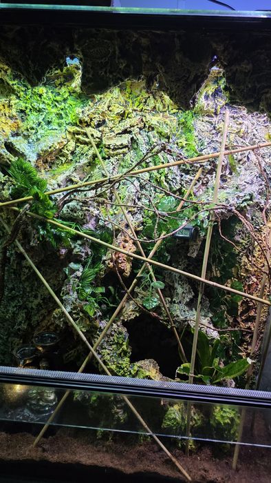 Terrarium dla gekona kameleona jaszczurki agamy terra wodospad
