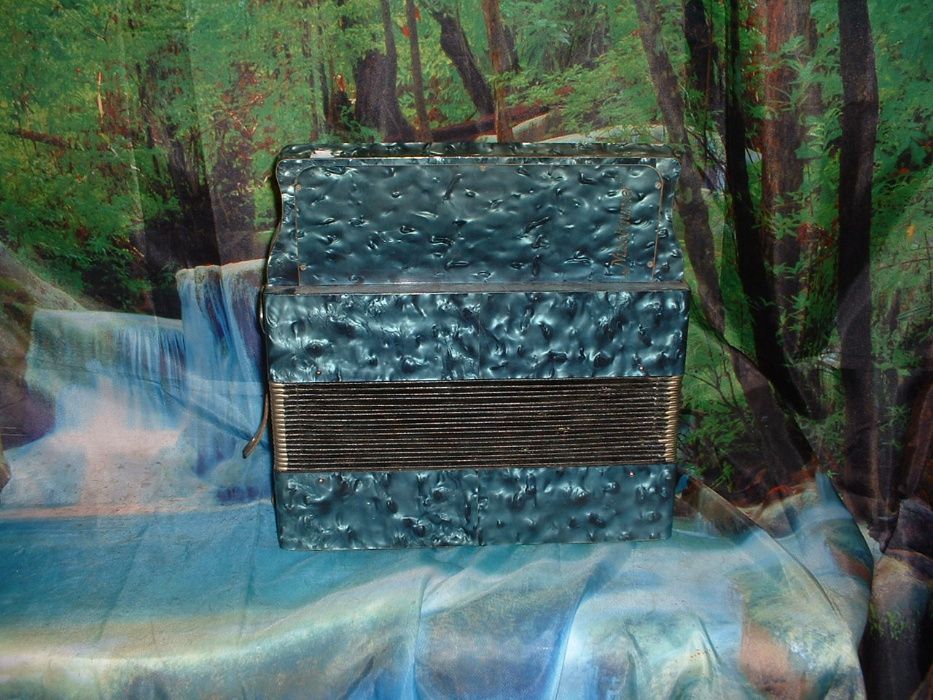 Concertina n. 554
