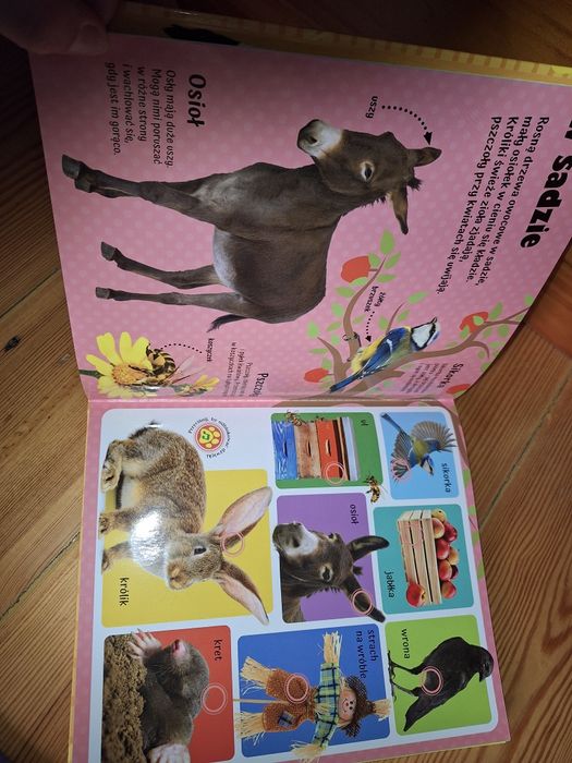 Odgłosy na wsi książeczka dźwiękowa