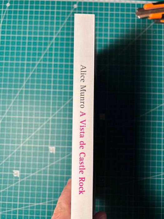 (NOVO) A Vista de Castle Rock - Alice Munro