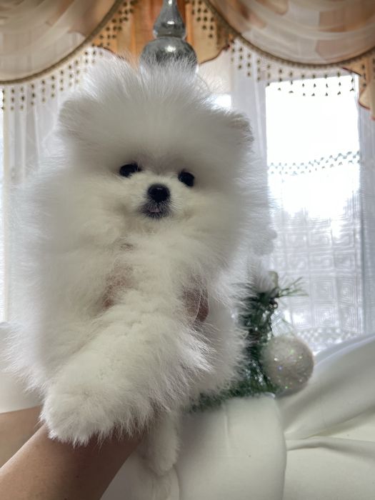 Міні сніжиночка померашка