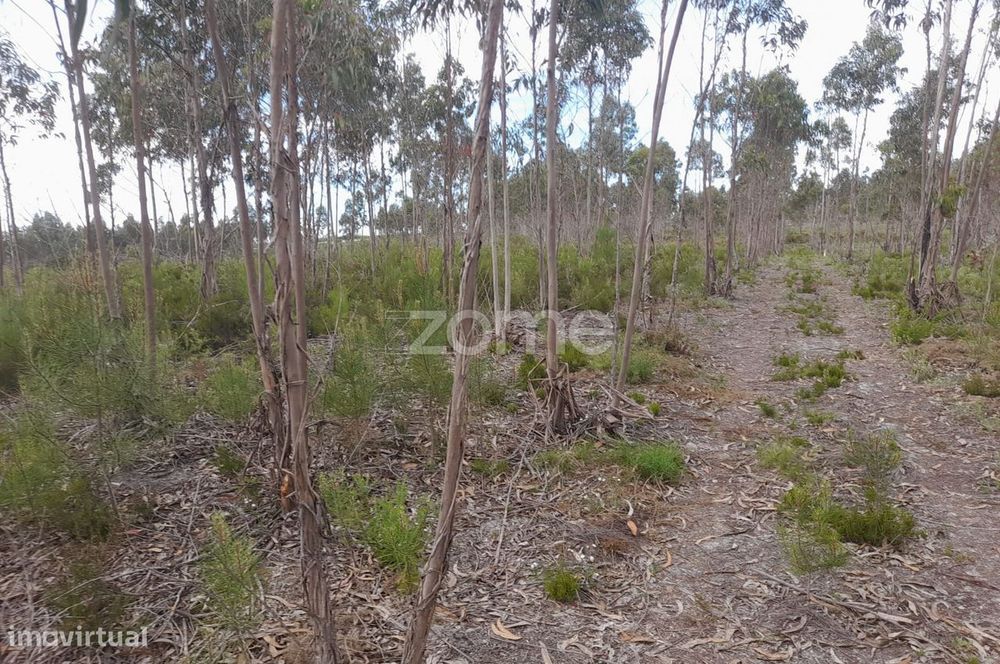 Terreno Rustico com 12580m2