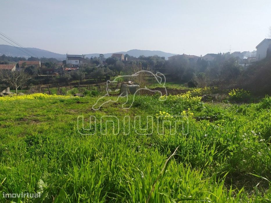 Terreno Cardielos — Cardielos E Serreleis, Viana do Castelo
