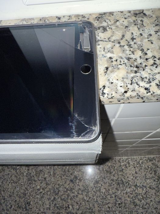 iPad mini 4 Wi-Fi/Cellular64751207846017122