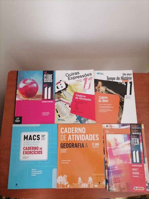 Conjunto dos cadernos de atividades do 11°ano