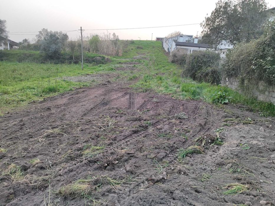 Terreno em Ançã.