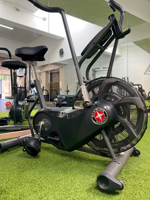 Air Bike Schwinn AD6