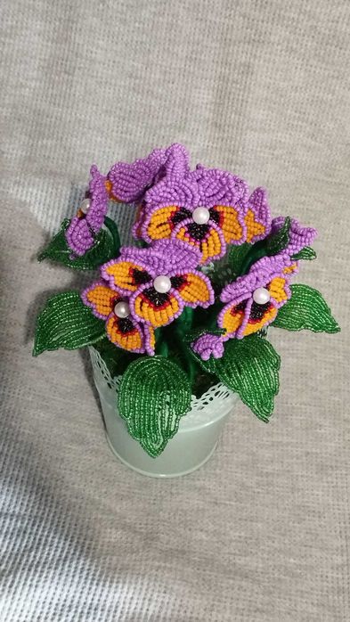 Фіалка триколірна "братки"