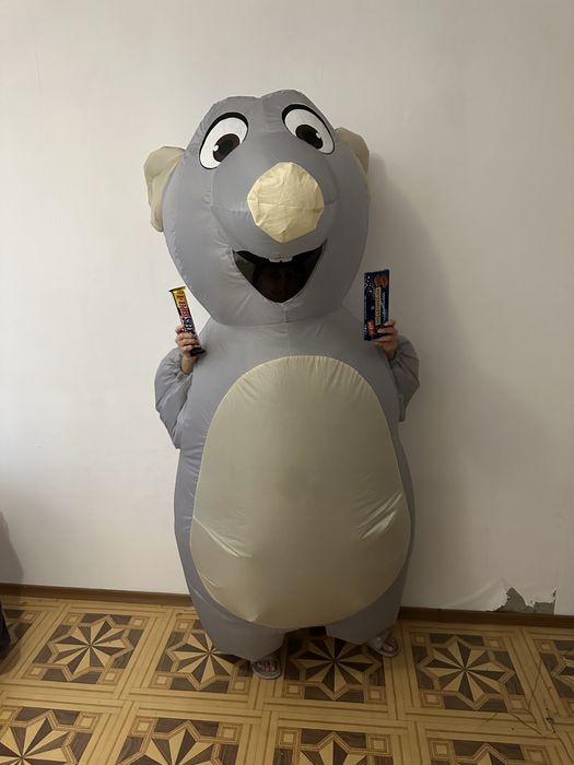 Здам в оренду костюм миші, крысы, щура, жаби, пиво,клоун,діно