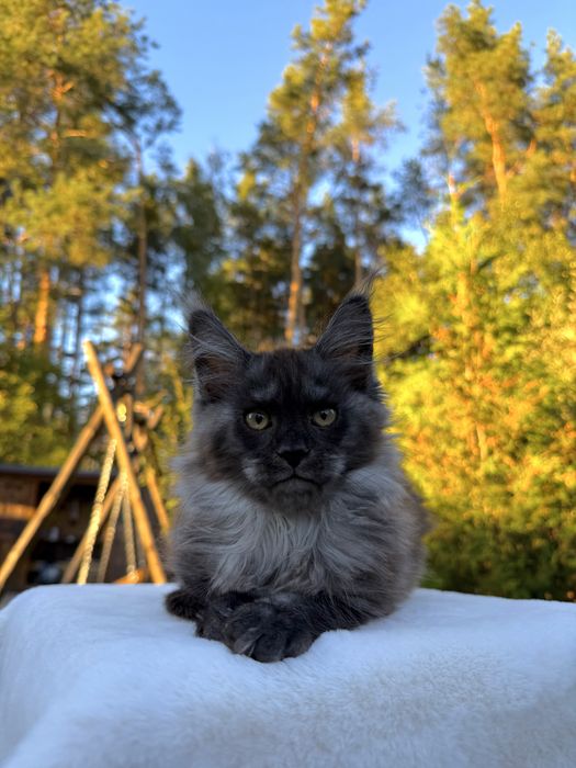 Мейн кун хлопчик