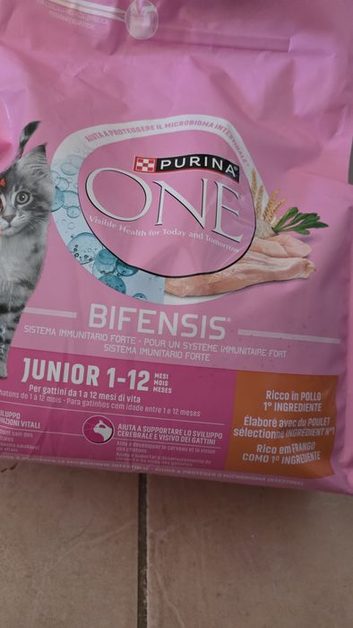 Purina One Frango Junior
