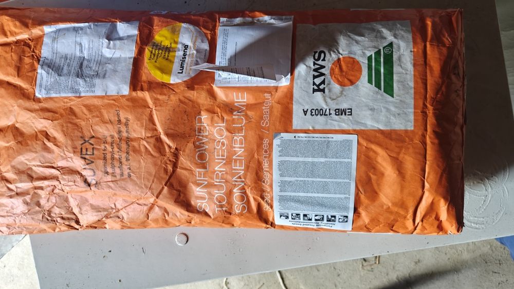 Słonecznik nasienie kws suvex