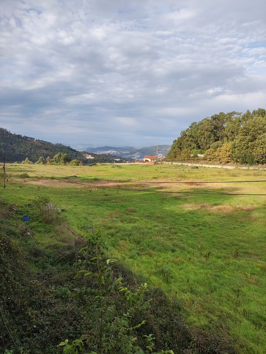 Arrenda-se Terreno Agrícola em Lustosa, Lousada – 22.000 m²