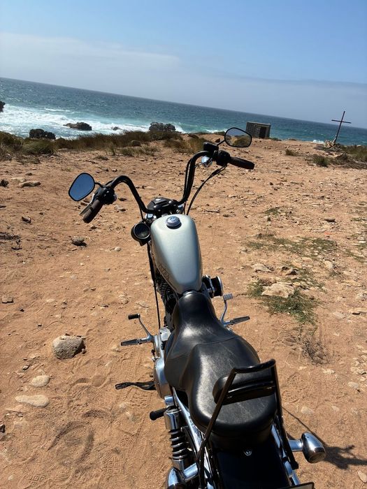 Harley-Davidson 883 Low