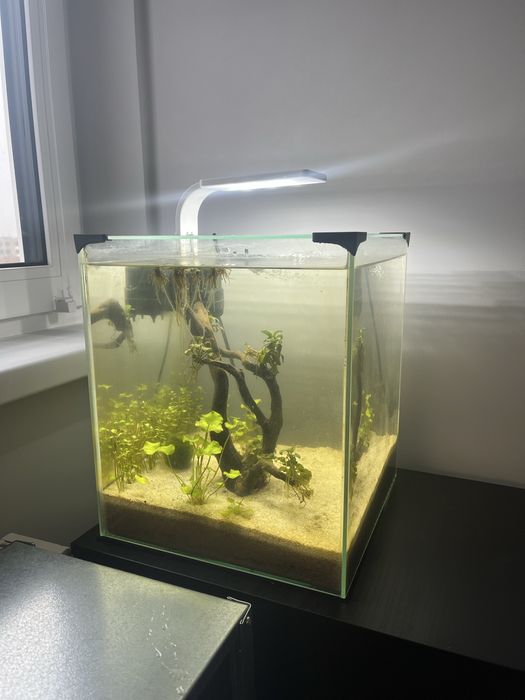 Sprzedam całe akwarium