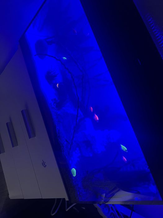Akwarium Aquael 105l