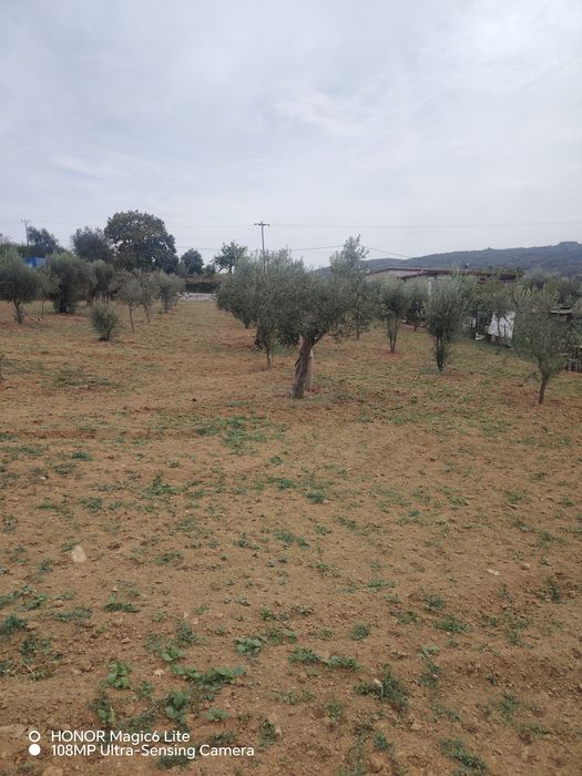 Terreno em Torres Trancoso