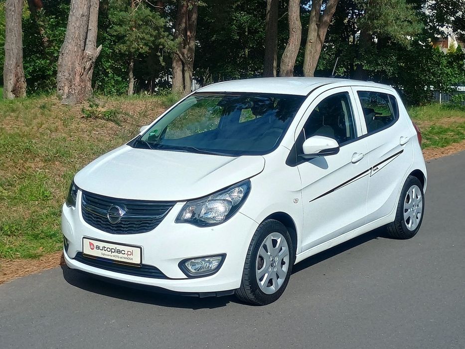 Opel Pozostałe Opel