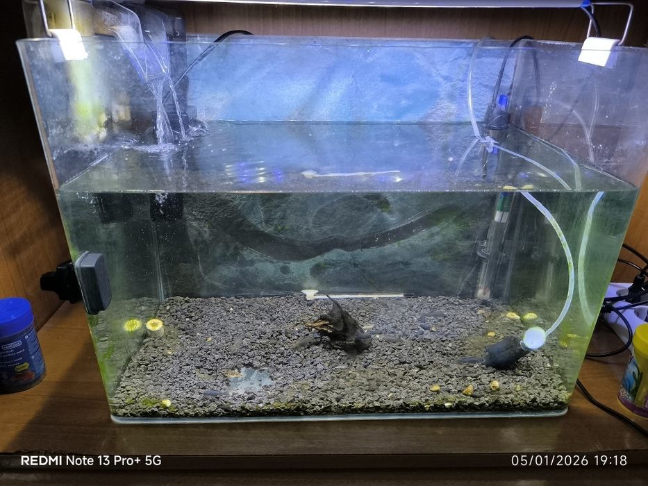Aquário com filtro e aquecedor e areia